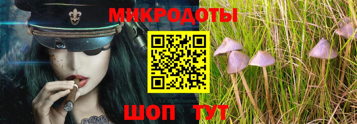 Галлюциногенные грибы мицелий Сосновый Бор