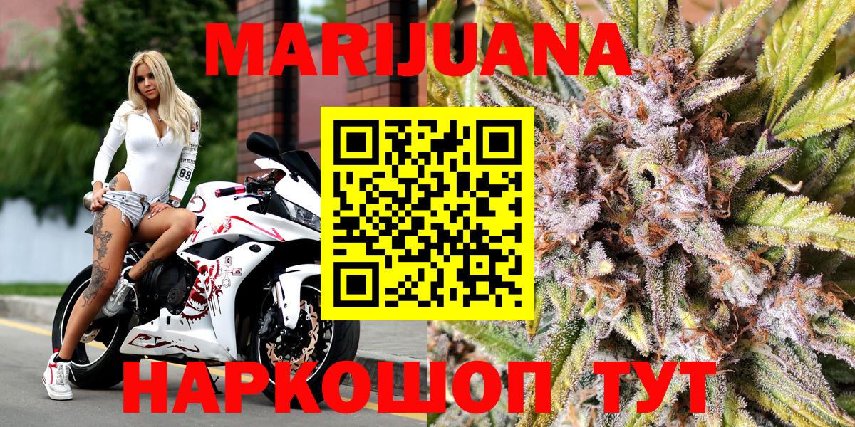 Каннабис MAZAR Сосновый Бор